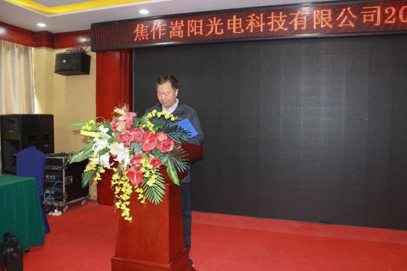 嵩阳光电举行2025年迎春团建年会